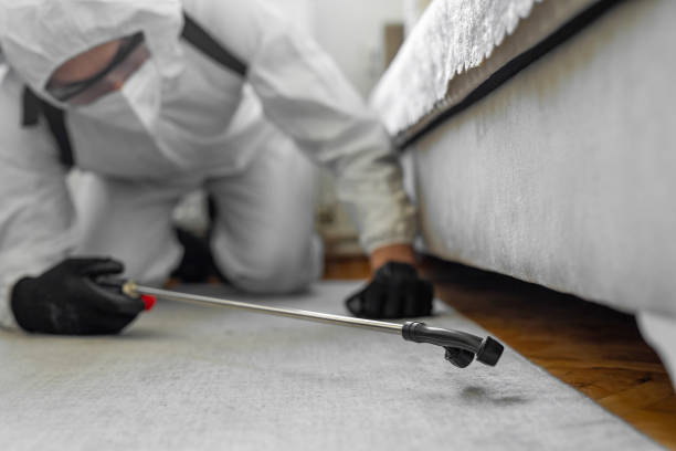 Professional Bed Bug Control technician working in Humansville, MO