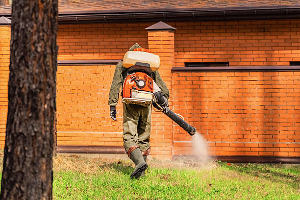 Top rated local Bed Bug Control specialists in Humansville, MO